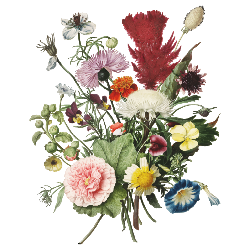 1080x1080 muses 24 FEB 2026